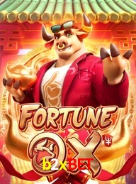 B2XBET.COM